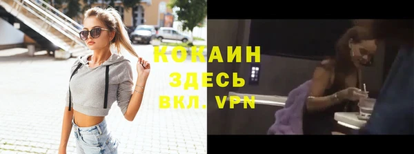 шишки Армянск