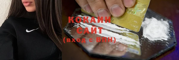 шишки Армянск