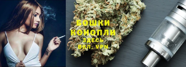 мет Арсеньев