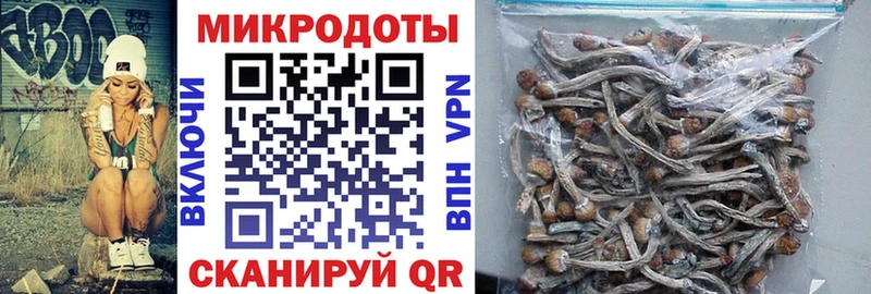Галлюциногенные грибы мицелий  купить наркотики цена  Таштагол 